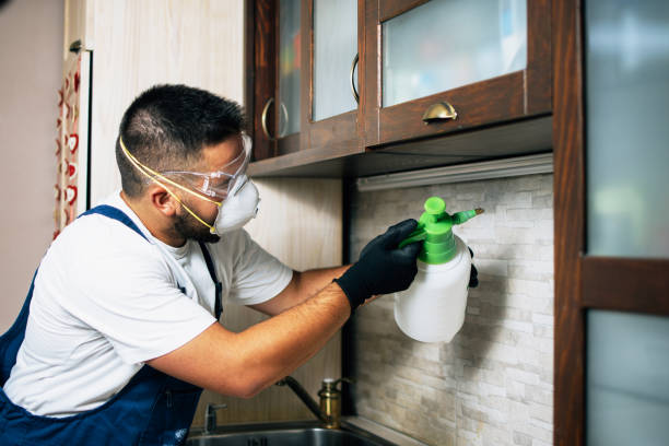 Best Local Pest Control Services  in Anthony, KS