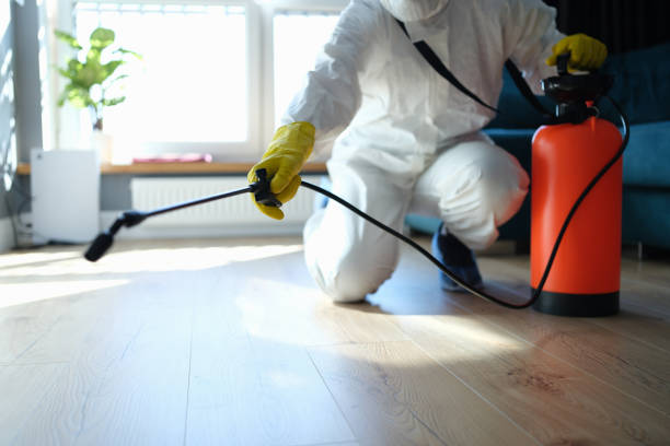 Best Termite Control Services  in Anthony, KS