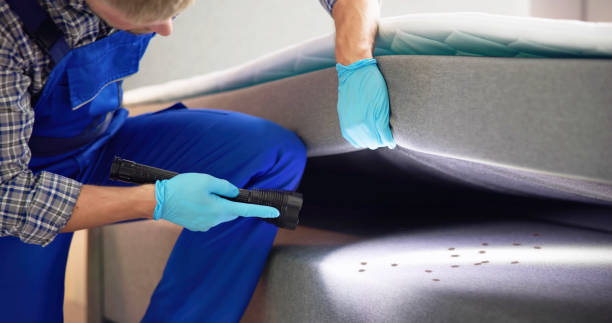 Best Pest Control for Businesses  in Anthony, KS