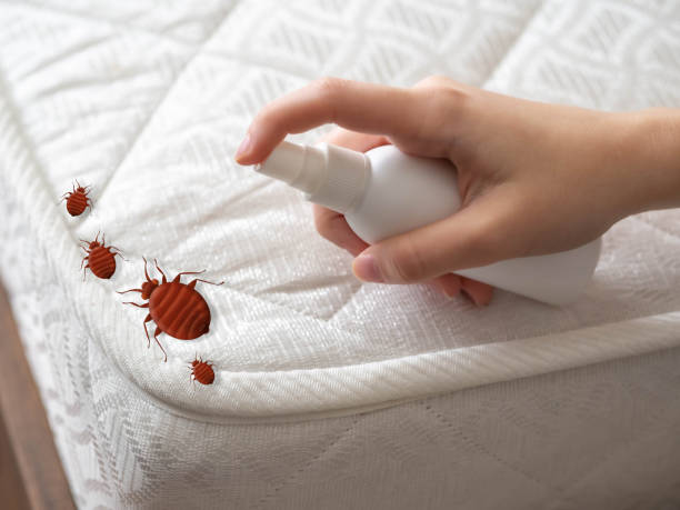 Pest Control for Restaurants in Anthony, KS