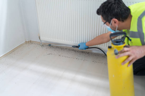 Best Affordable Pest Control Services  in Anthony, KS
