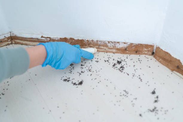 Best Pest Control Near Me  in Anthony, KS