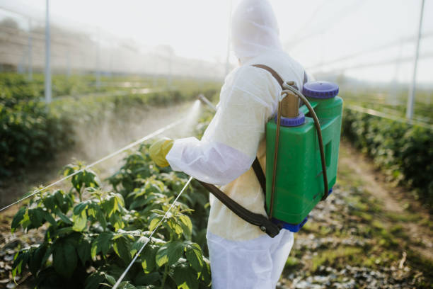 Best Commercial Pest Control Services  in Anthony, KS